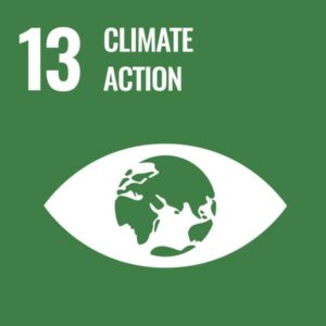United-Nations-Sustainable-Development-Goals (13)
