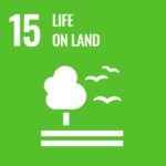 United-Nations-Sustainable-Development-Goals
